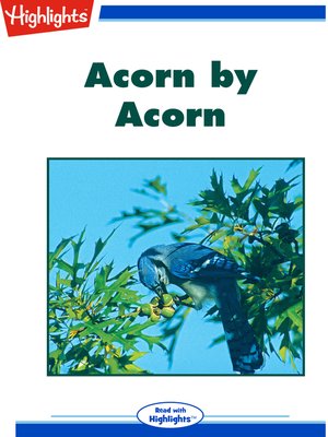 cover image of Acorn by Acorn